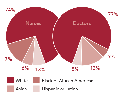 Pie Chart of Doctors and Nurses